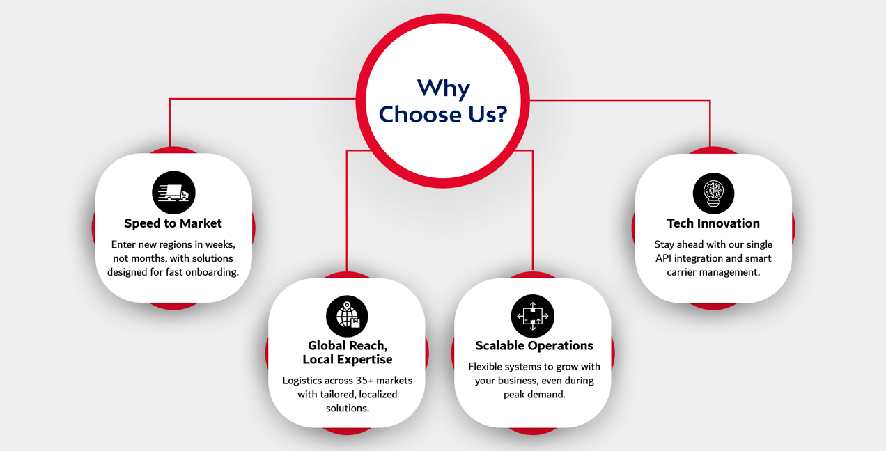 Why Choose Us