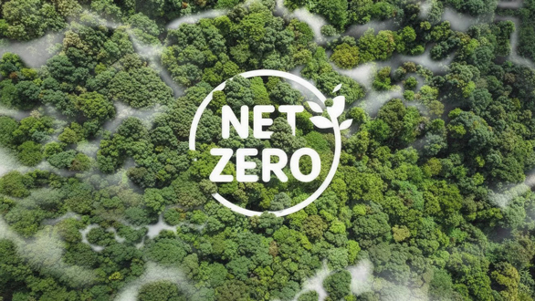 Net-zero carbon emission